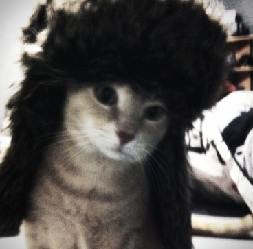 Meowmeowpisipisi, 18, Canada