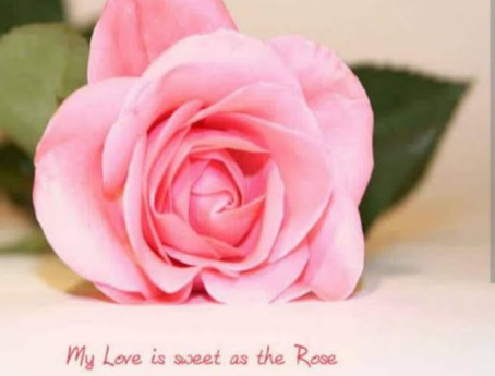 Raaj_1900, 34, India