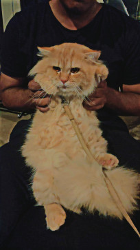 Shaikh Aftab, 25, India