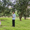 shabaz