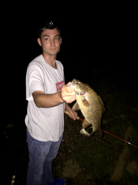 Alex, 37, United States