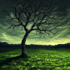 __its__alok__roy__01