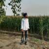 Sharan Ramgharia