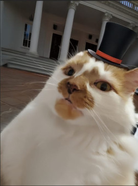 Oddman, 19, United States