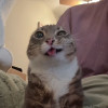 len