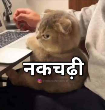 Nidhi_hu, 19, India