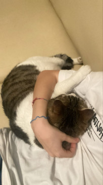 Nycolxs, 18, Italy