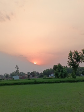 Aditya, 21, India