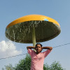 Gajendra Choudhary