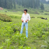 Rameez mir