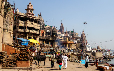 Harsh Kushwaha, 22, India