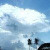 Renju Appu