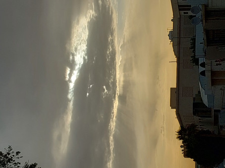 Dove J, 48, Saudi Arabia