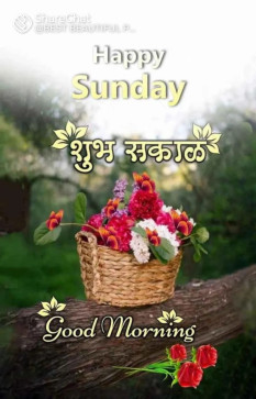 Rcb Dabhane, 28, India