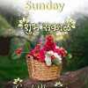Rcb Dabhane