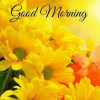 Sumit008