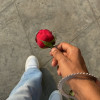 amarjeet