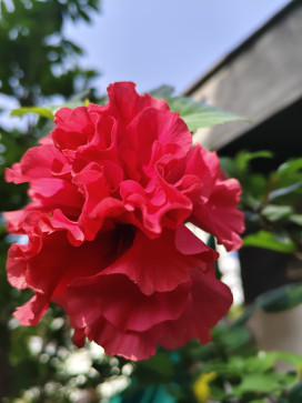 Bhavesh, 20, India
