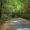Sagar Sethi