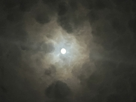 Aleks Miroshnichenko, 18, United States