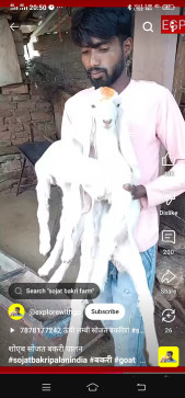 Ari, 25, India