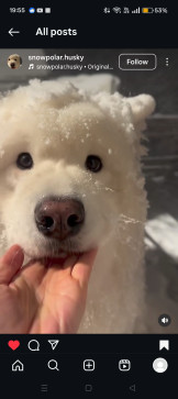 Ababababa, 19, India