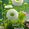 Akash Maity
