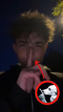 Fssfs Sadfgsadfg, 18, Lithuania
