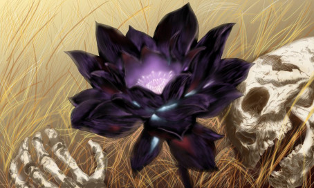 Black Lotus, 18, United States