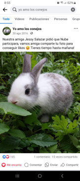 TheRabbit, 26, Honduras