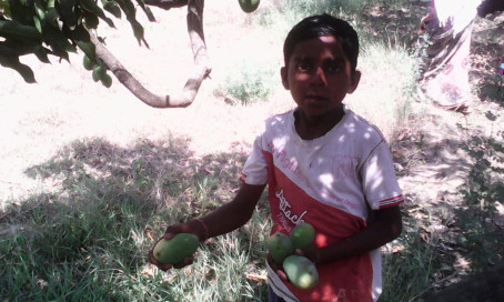 Mayank Jaltare, 20, India