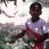Mayank jaltare