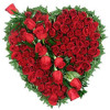 Ayesha Begam