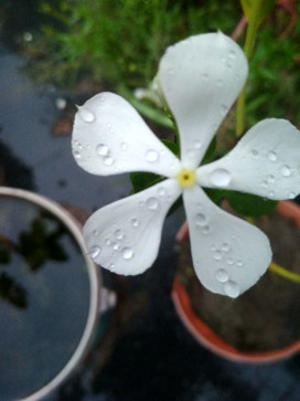 Suman, 18, India