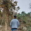 Simanta