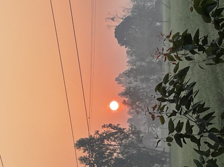 Deep, 18, India