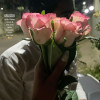 Guddu