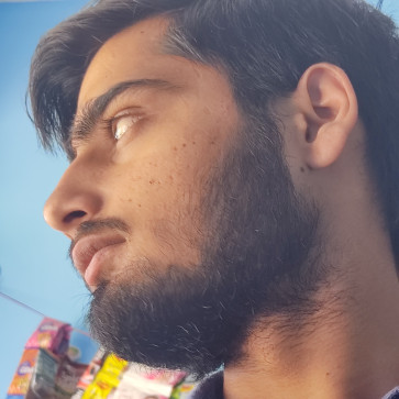 Ankit Chandra Mamgai, 22, India
