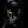 Vinay