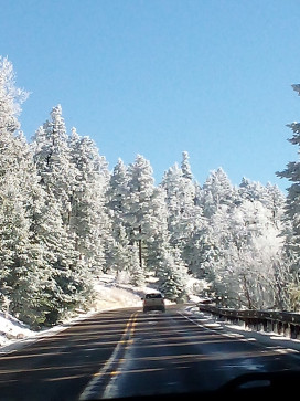 Livy, 18, United States