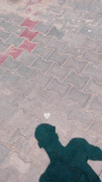 Rendom 07, 18, India