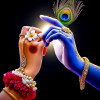 SAGAR MISHRA