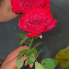 Jatin Mor