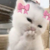 eshaaa_meowzzz