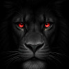 Krish_goutam_00