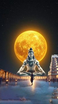 Newsletter 24, 25, India