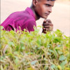 Sagar