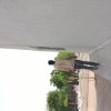 Dinesh