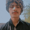 Arman