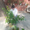 Gaurav Tanwar